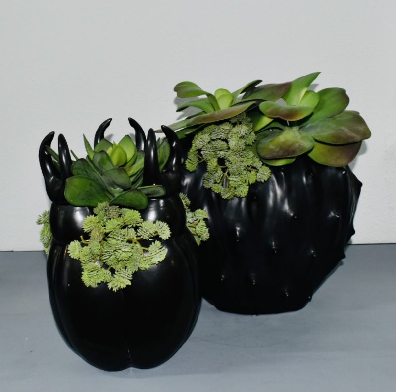 Vetplant met sedum