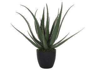 Levensechte Aloë Vera kunst vetplant