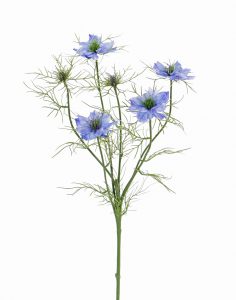 Nigella blauwe veld kunstbloem