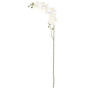 Witte orchidee lengte 176 cm