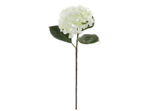 Grote witte zijde hortensia