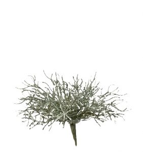 Decoratief zilverstruikje 