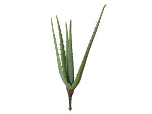 Aloë Vera kunstplant vetplant 
