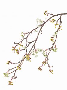Bloesemtak maple fruit wit/geel