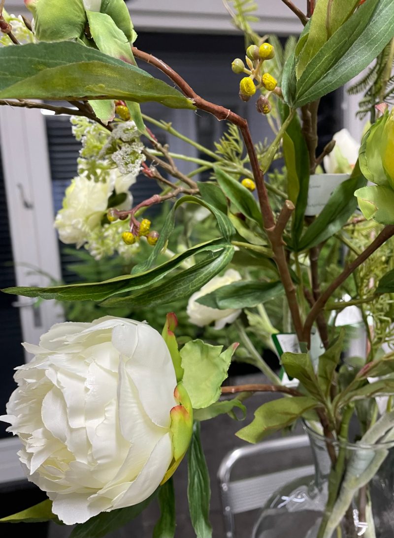 Witte pioenroos met volle bloemen
