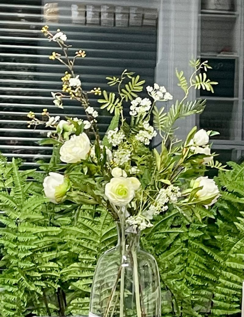 Witte Pioenroos